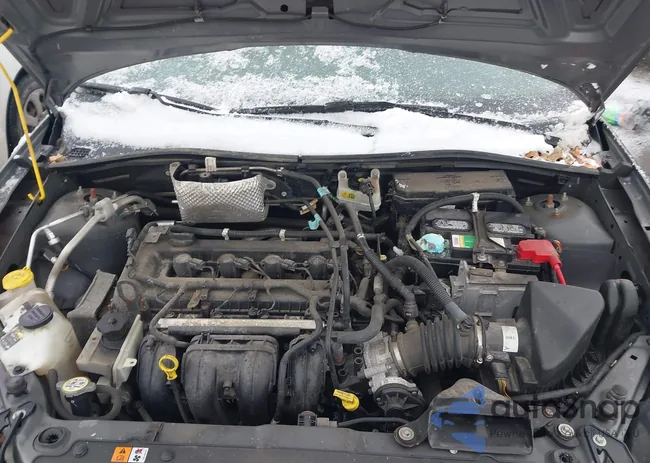 1FAHP3FN2AW107865: 44450540