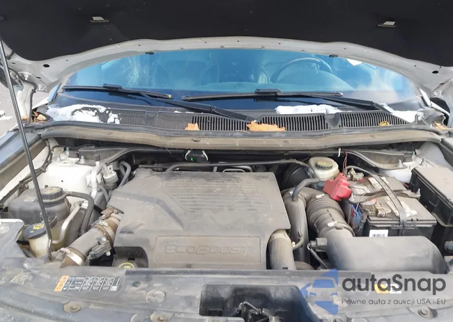 1FM5K8HTXJGA19544: 44450712