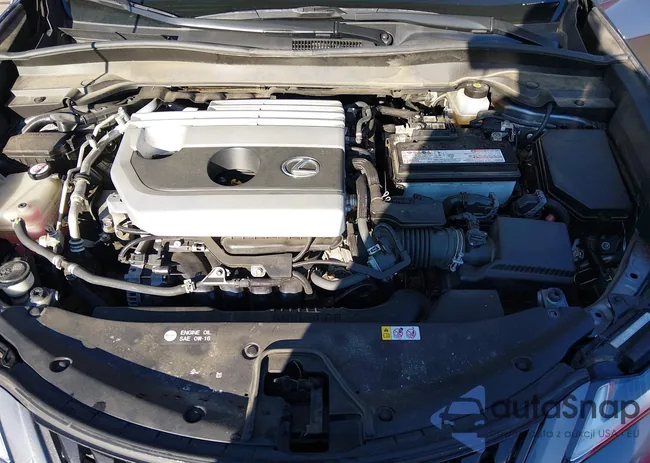 JTHY3JBH7K2013501: 44451885