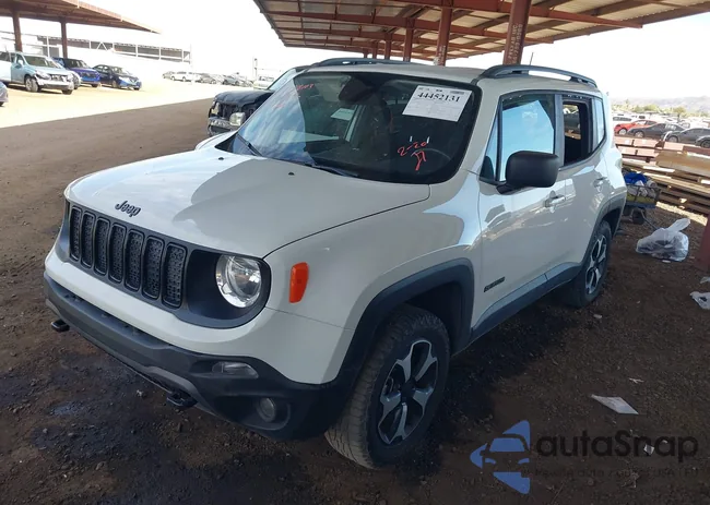 ZACNJBAB6LPL49125: 44452131