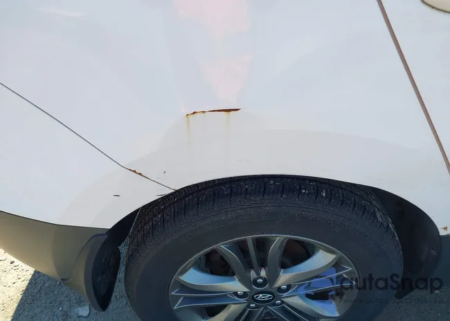 KM8JT3AF5EU905135: 44451510