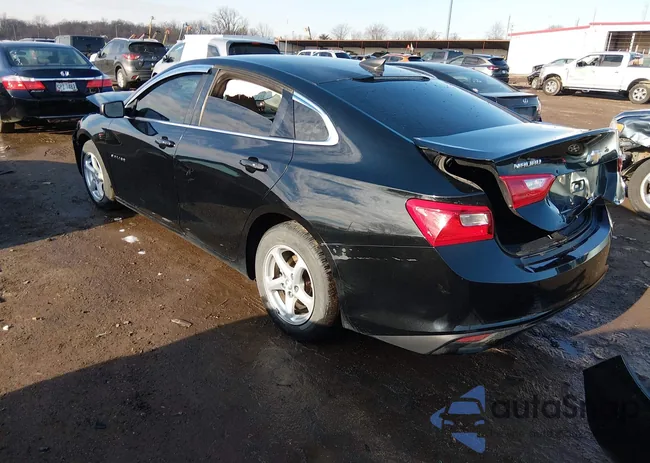 1G1ZC5ST8HF102148: 44452872