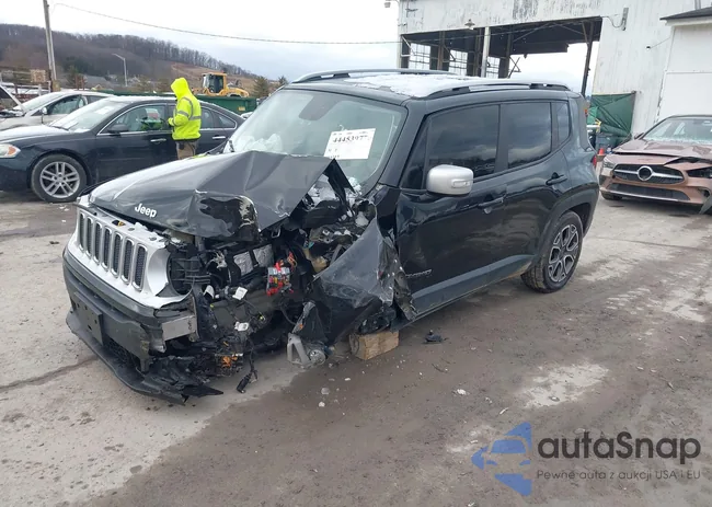 ZACCJBDTXFPC31310: 44453977