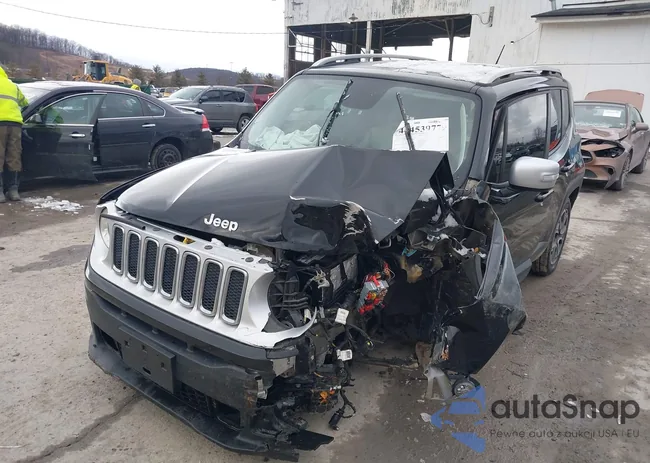 ZACCJBDTXFPC31310: 44453977