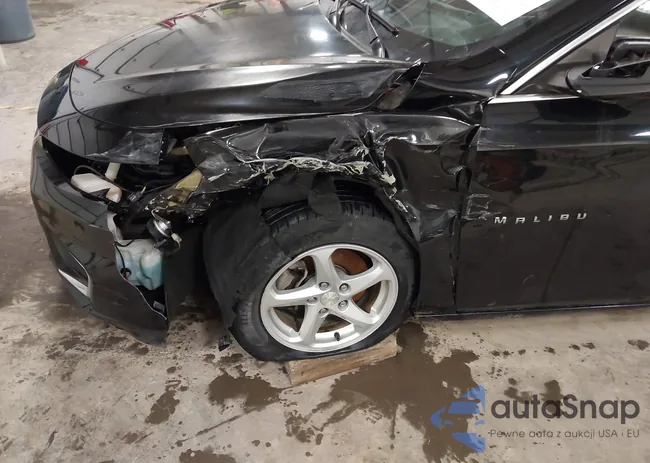 1G1ZB5ST8HF191383: 44453441