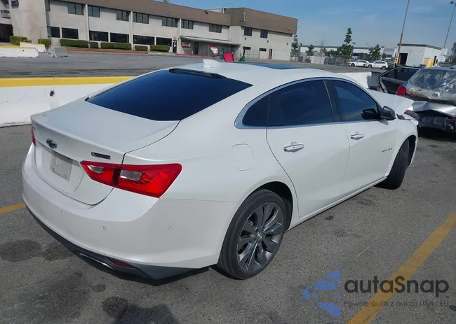 1G1ZH5SX3GF289513: 44453556