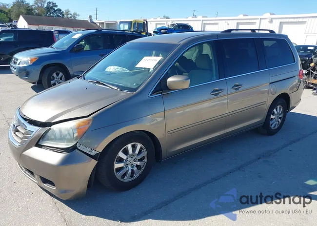 5FNRL3H49AB062636: 44455194