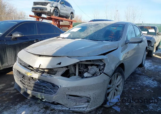 1G1ZE5ST6GF215217: 44455221