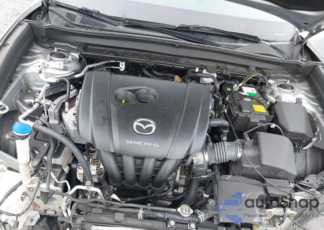 3MVDMBCL7LM105450: 44455332