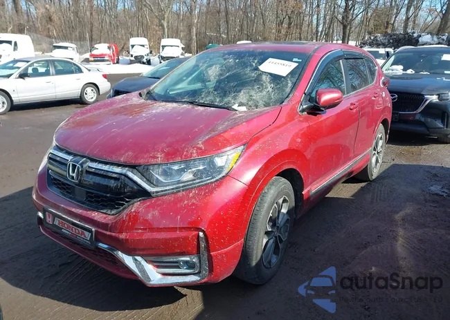 5J6RW1H57ML002953: 44455819