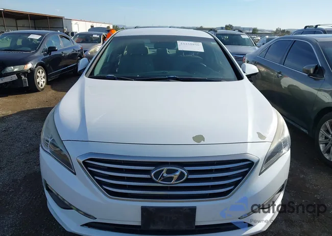 5NPE24AF6FH012725: 44455956