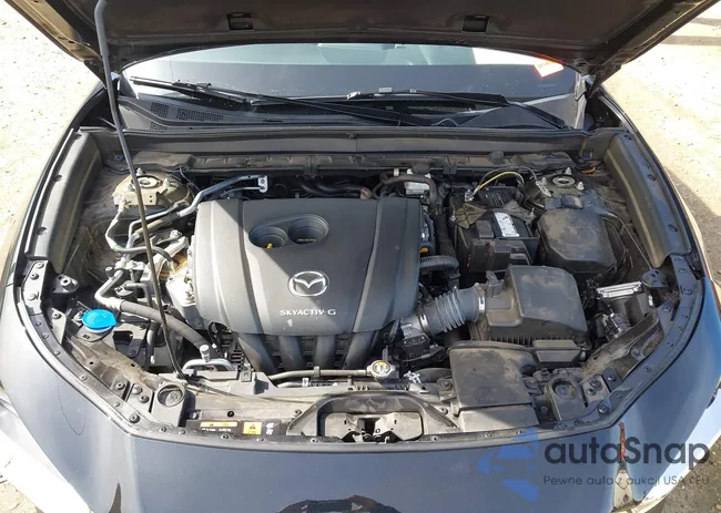 3MVDMBBL6MM310888: 44456064