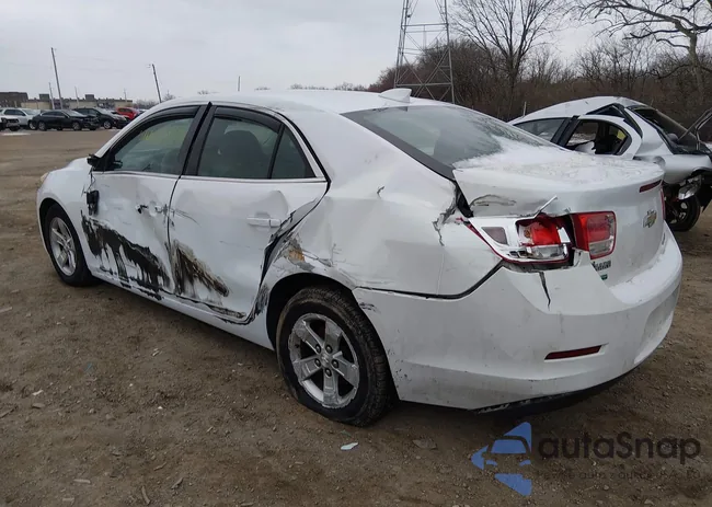 1G11C5SL3FF278051: 44455643