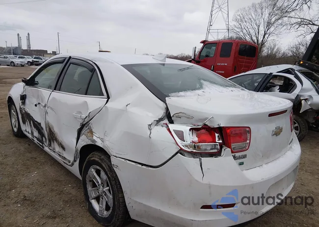 1G11C5SL3FF278051: 44455643