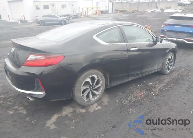 1HGCT1B31GA005215: 44455697