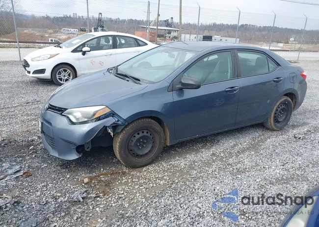 2T1BURHEXEC220406: 44455700