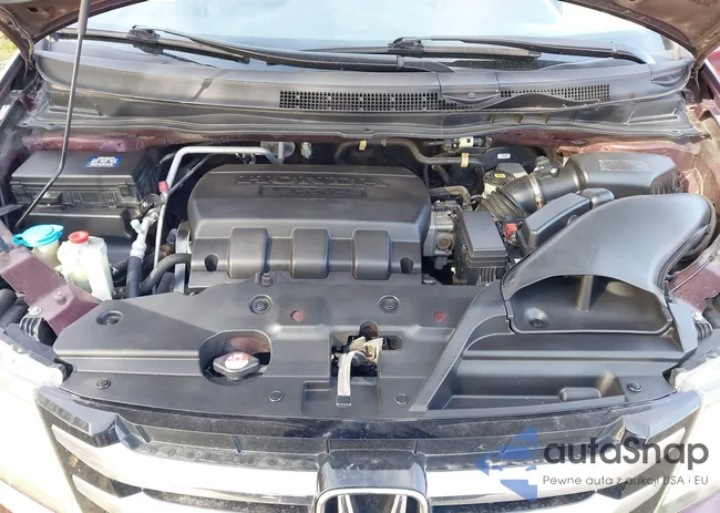 5FNRL5H95EB013009: 44456920