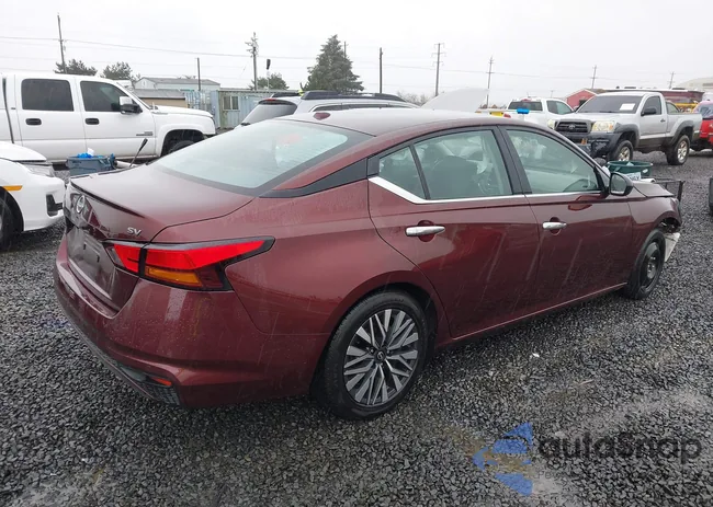 1N4BL4DV1RN366584: 44456384