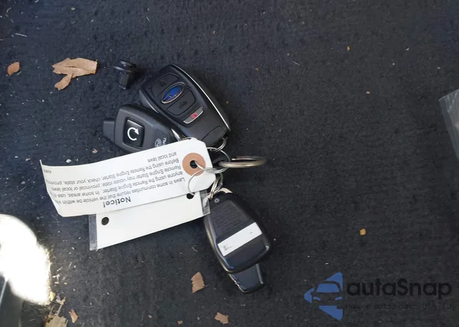 4S4BSENC9H3239295: 44457558