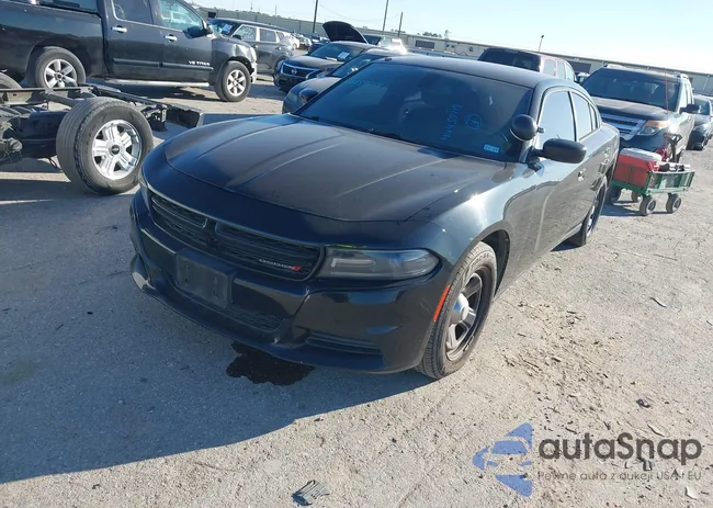 2C3CDXAT0GH116120: 44459119