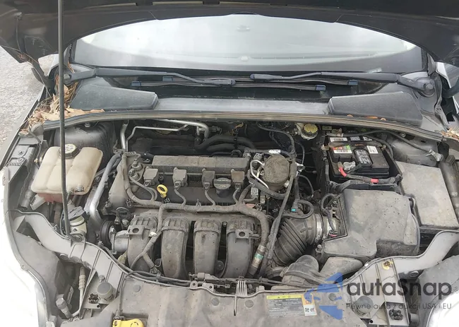 1FAHP3K24CL356197: 44459853