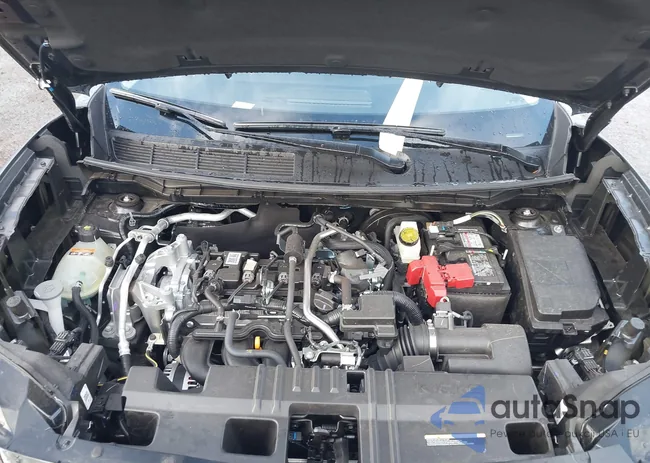 3N8AP6CBXSL382211: 44459891