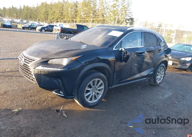 JTJBJRBZ5J2091579: 44459467