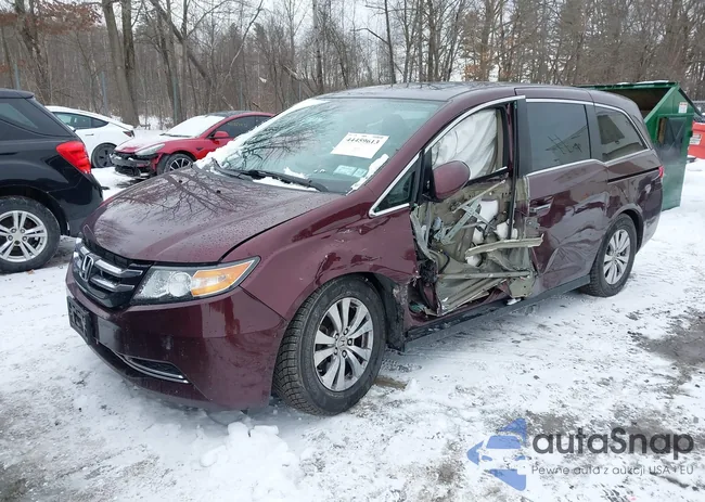 5FNRL5H62EB100372: 44459613