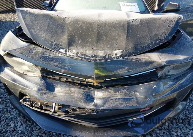 1G1FB1RS6J0157900: 44460856