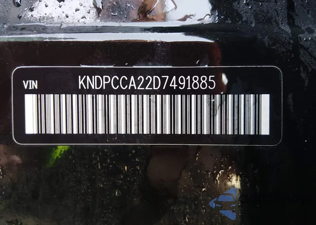 KNDPCCA22D7491885: 44460867