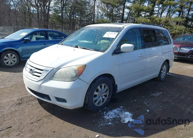 5FNRL38798B046098: 44461130