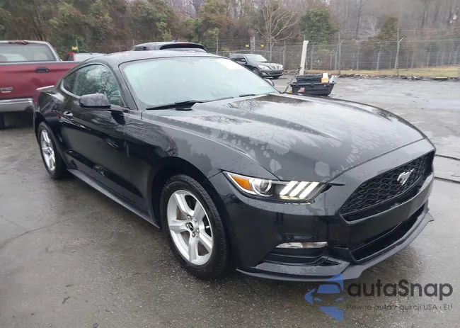 1FA6P8AM7H5262964: 44461224