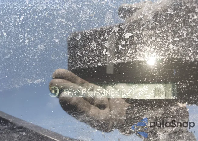 5FNYF8H59MB022425: 44462113