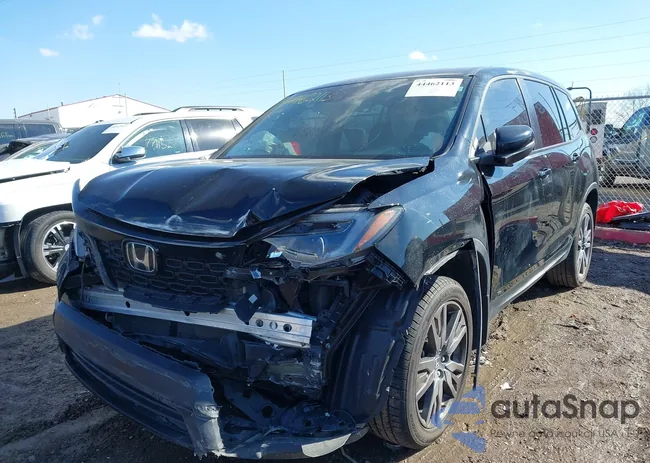 5FNYF8H59MB022425: 44462113