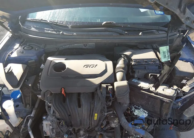 5NPE24AF1HH441533: 44461399