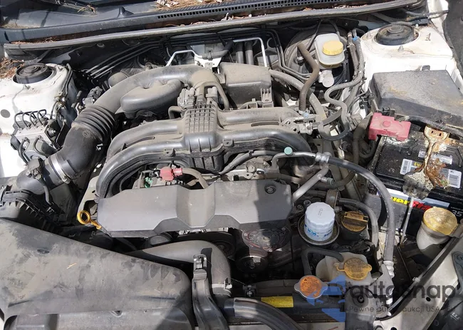 JF2GPACC4F8325865: 44461552