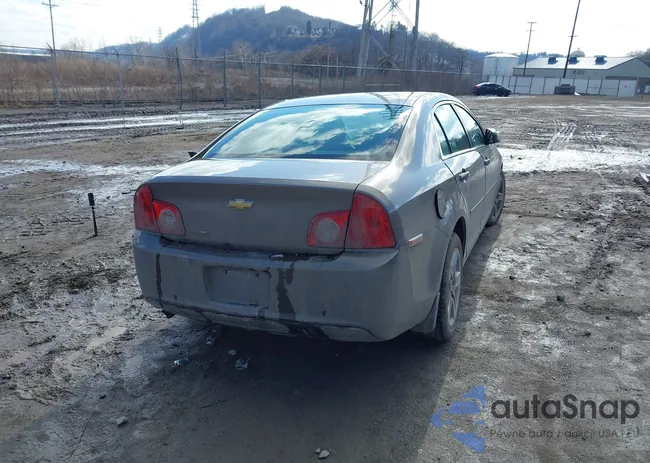 1G1ZA5E01CF295419: 44463157