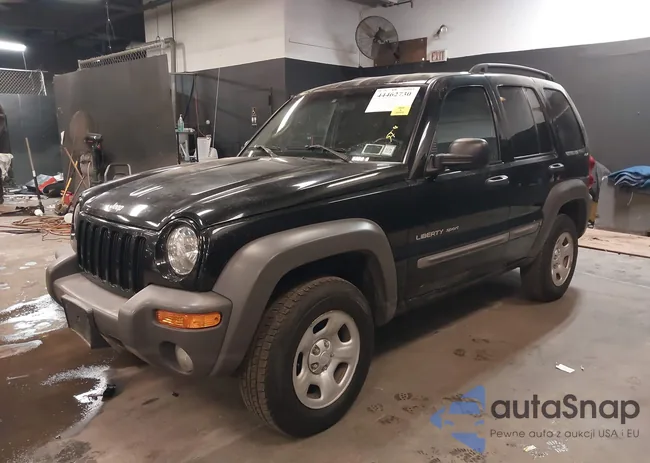 1J4GL48K82W131982: 44462730