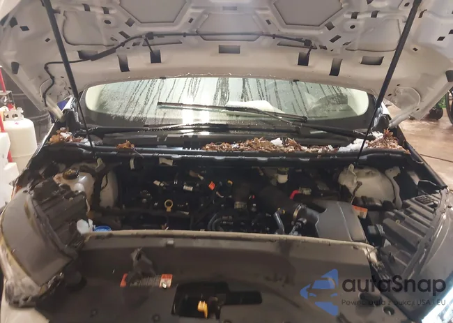 2FMPK4K9XRBA39908: 44464234