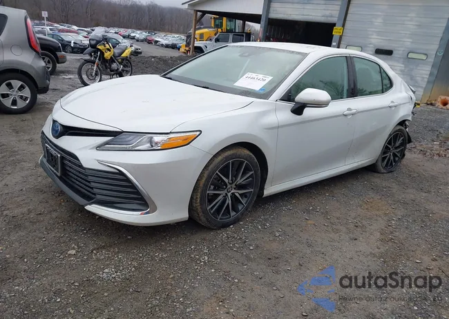 4T1F31AK4RU064910: 44463420