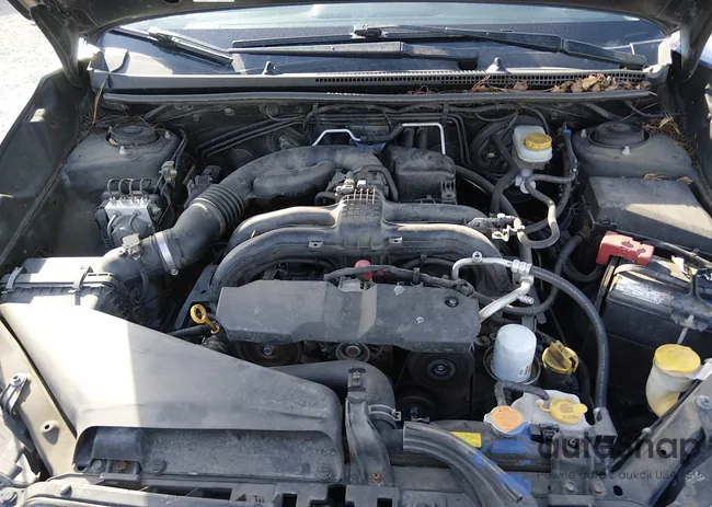 JF2GPAVC3E8282860: 44463552