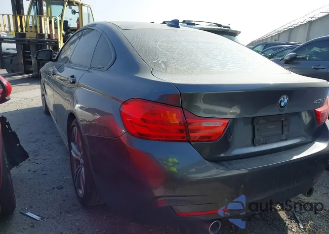 WBA4B1C59FD418077: 44463721