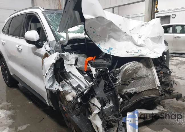 5XYRLDJC4RG300873: 44465238