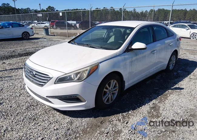 5NPE24AF9FH242419: 44465324