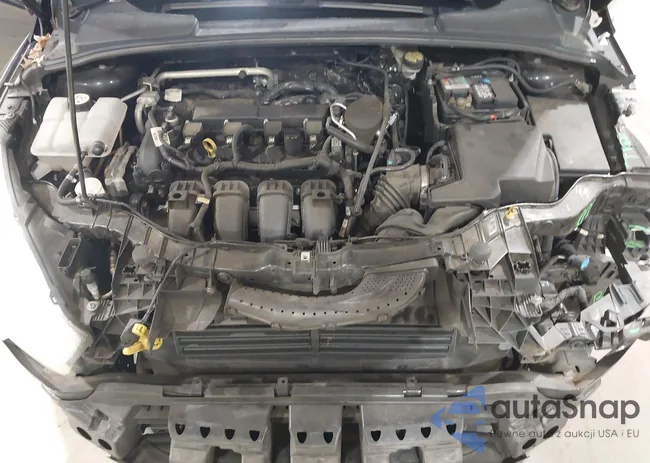 1FADP3F29GL300884: 44467953