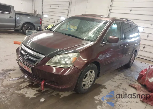 5FNRL38737B453641: 44467539