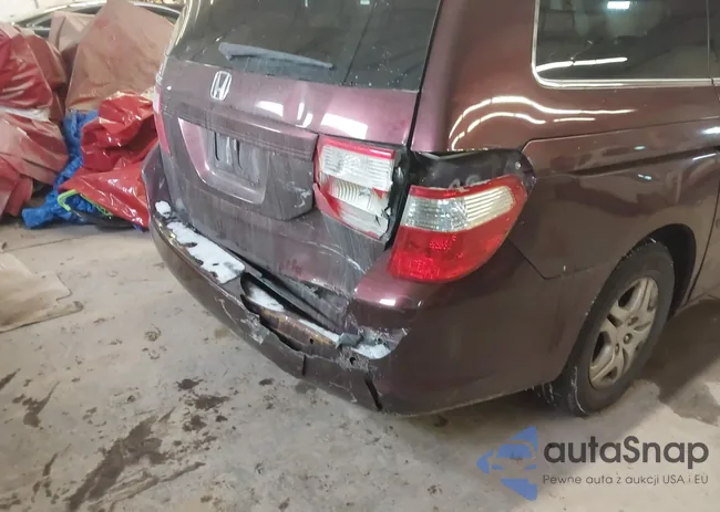 5FNRL38737B453641: 44467539