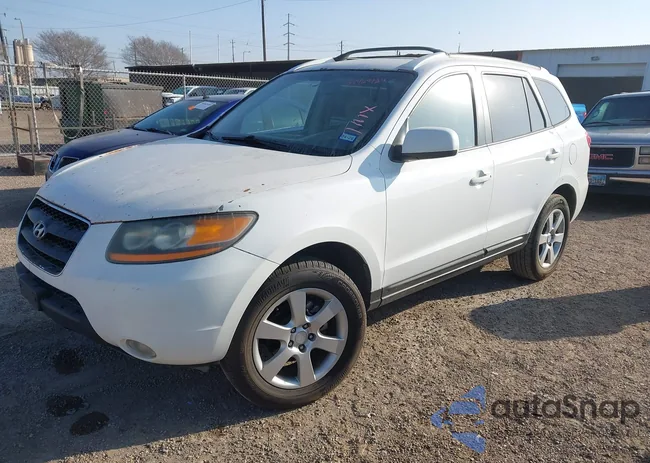 5NMSH13E99H331395: 44469129