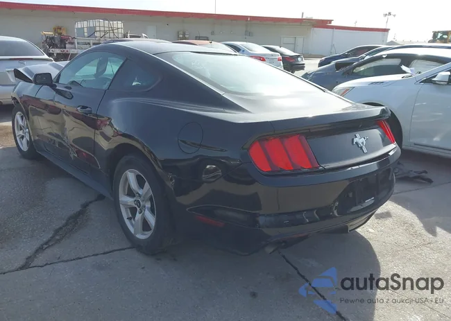 1FA6P8AM5H5272831: 44472810