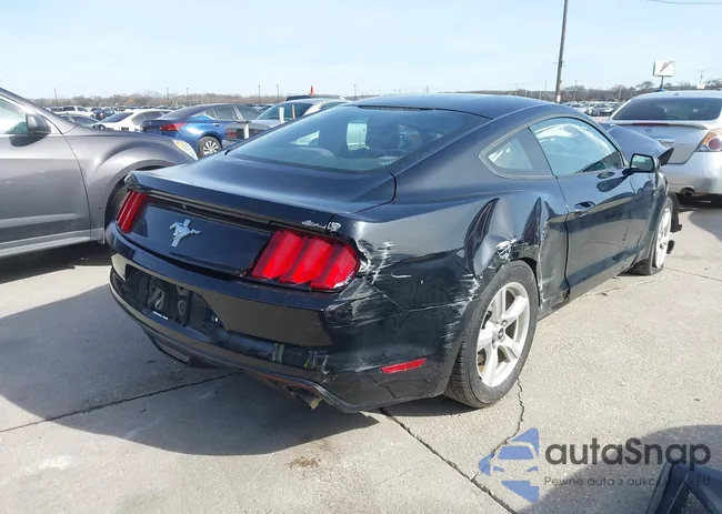 1FA6P8AM5H5272831: 44472810